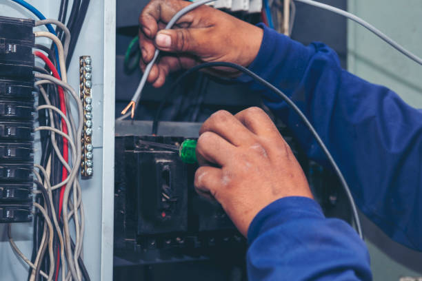 Best Ceiling Fan Installation Electrician  in New Hampton, IA